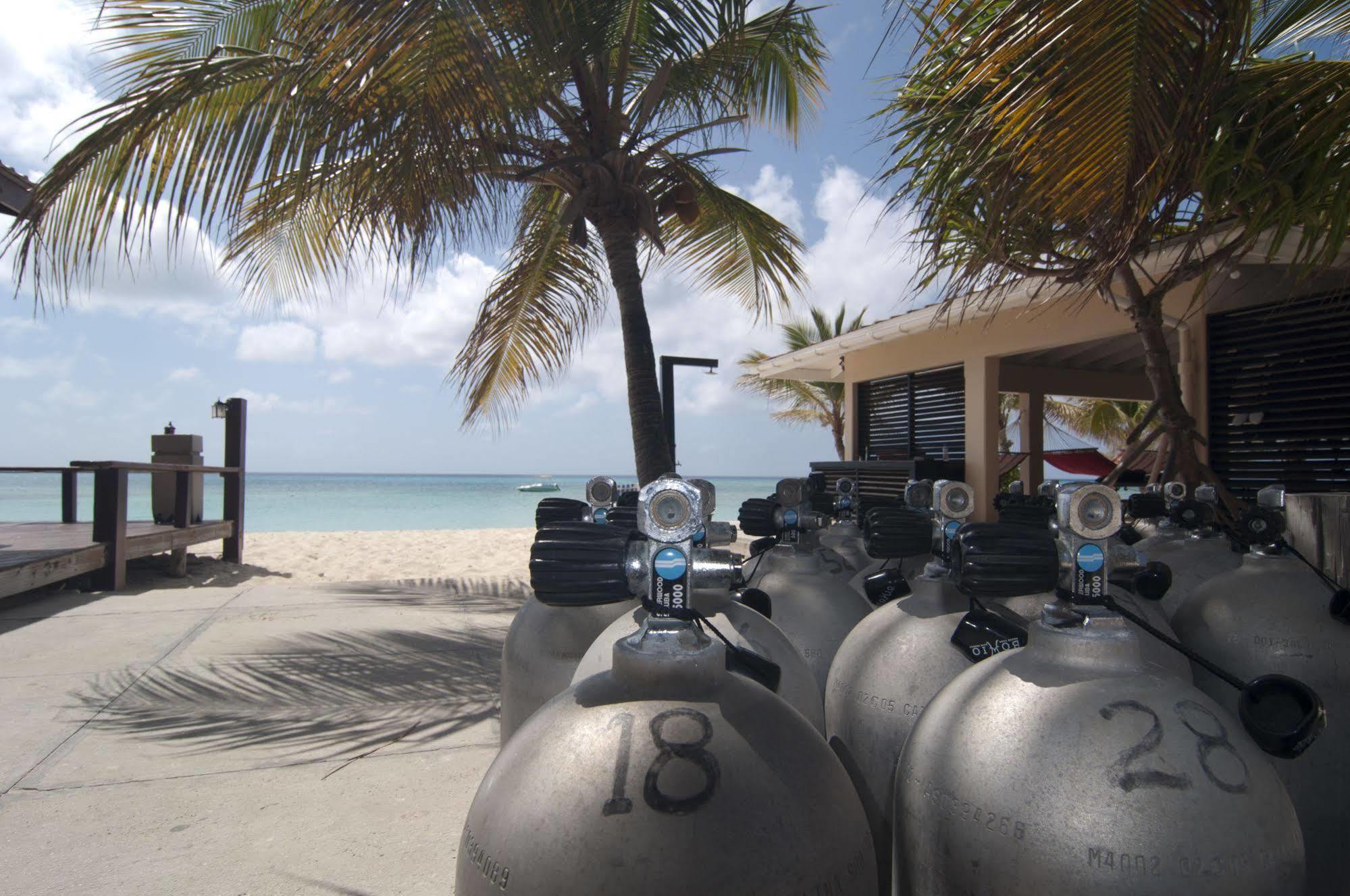 Bohio Dive Resort Cockburn Town Exterior foto